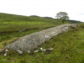 Digital photograph of panel to south, from Scotland's Rock Art Project, Glasvaar 7, Kilmartin, Argyll and Bute