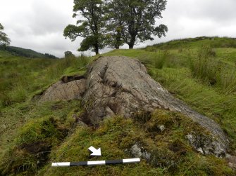 Digital photograph of panel in context with scale, from Scotland's Rock Art Project, Glasvaar 7, Kilmartin, Argyll and Bute