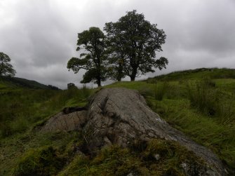 Digital photograph of panel in context without scale, from Scotland's Rock Art Project, Glasvaar 7, Kilmartin, Argyll and Bute