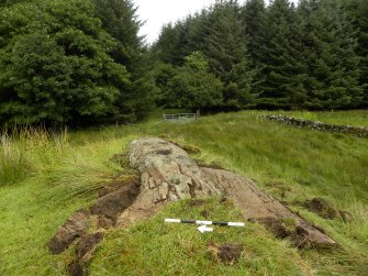 Digital photograph of panel in context with scale, from Scotland's Rock Art Project, Glasvaar 7, Kilmartin, Argyll and Bute