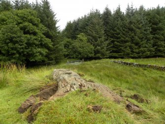 Digital photograph of panel in context without scale, from Scotland's Rock Art Project, Glasvaar 7, Kilmartin, Argyll and Bute