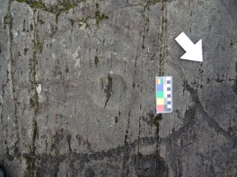 Digital photograph of close ups of motifs, from Scotland's Rock Art Project, Kilmichael Glassary 1, Kilmartin, Argyll and Bute