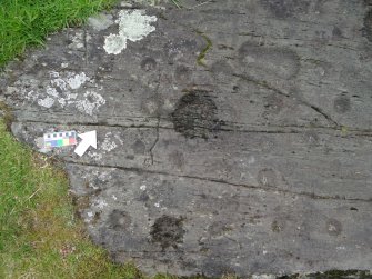 Digital photograph of close ups of motifs, from Scotland's Rock Art Project, Kilmichael Glassary 1, Kilmartin, Argyll and Bute