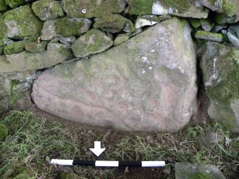Digital photograph of rock art panel context, Scotland's Rock Art Project, Glasvaar 4, Kilmartin, Argyll and Bute