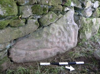 Digital photograph of panel, from Scotland's Rock Art Project, Glasvaar 4, Kilmartin, Argyll and Bute