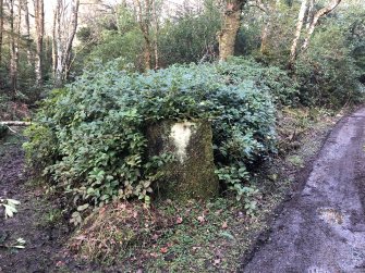 Standing stone, view from S