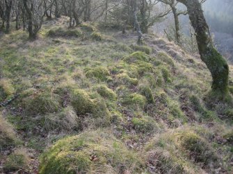 View of the enclosure wall