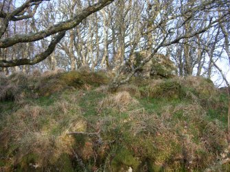 View of the enclosure wall