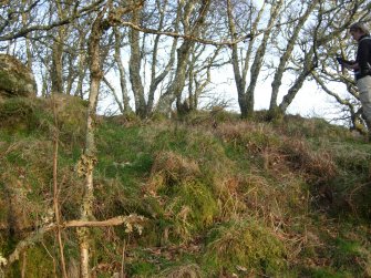 View of the enclosure wall