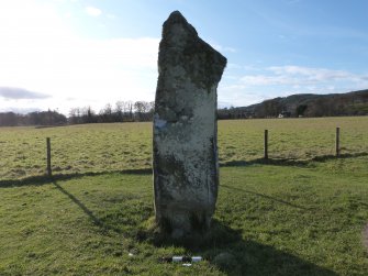 Digital photograph of panel, from Scotland's Rock Art Project, Nether Largie South Standing Stone, Kilmartin, Argyll and Bute