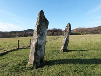 Digital photograph of rock art panel context, Scotland's Rock Art Project, Nether Largie South Standing Stone, Kilmartin, Argyll and Bute