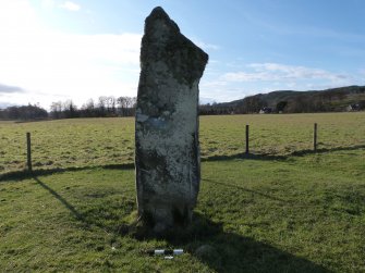 Digital photograph of rock art panel context, Scotland's Rock Art Project, Nether Largie South Standing Stone, Kilmartin, Argyll and Bute