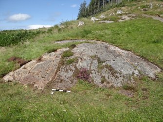 Digital photograph of rock art panel context, Scotland's Rock Art Project, Ormaig 1, Kilmartin, Argyll and Bute