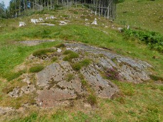 Digital photograph of rock art panel context, Scotland's Rock Art Project, Ormaig 1, Kilmartin, Argyll and Bute