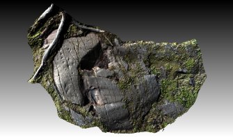 Snapshot of 3D model, from Scotland's Rock Art Project, Ormaig 4, Kilmartin, Argyll and Bute