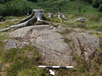 Digital photograph of panel to south-east, Scotland's Rock Art Project, Ormaig 3 and 4, Kilmartin, Argyll and Bute