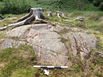 Digital photograph of panel to south-east, from Scotland's Rock Art Project, Ormaig 4, Kilmartin, Argyll and Bute