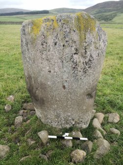 Digital photographs of rock art panel context, Scotland's Rock Art Project, Glebe Stone, Borders