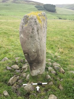 Digital photographs of rock art panel context, Scotland's Rock Art Project, Glebe Stone, Borders