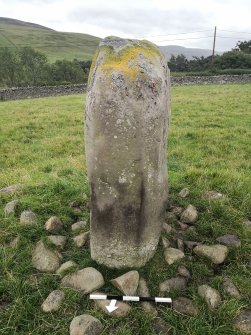 Digital photographs of rock art panel context, Scotland's Rock Art Project, Glebe Stone, Borders