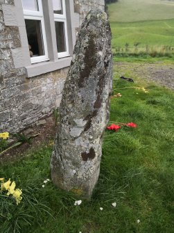 Digital photograph of panel in context without scale, from Scotland's Rock Art Project, Warrior Stone, Borders