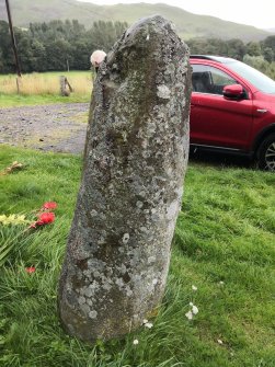 Digital photograph of panel in context without scale, from Scotland's Rock Art Project, Warrior Stone, Borders