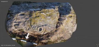 Digital photograph of perpendicular to carved surface(s), Scotland's Rock Art Project, Cairnholy 4, Dumfries and Galloway