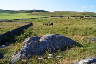 Digital photograph of panel to north, from Scotland’s Rock Art Project, Cairnholy 4, Dumfries and Galloway