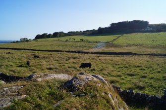 Digital photograph of panel to south-west, from Scotland’s Rock Art Project, Cairnholy 4, Dumfries and Galloway