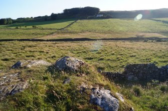 Digital photograph of panel in context without scale, from Scotland’s Rock Art Project, Cairnholy 4, Dumfries and Galloway