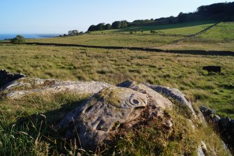 Digital photograph of panel, from Scotland’s Rock Art Project, Cairnholy 4, Dumfries and Galloway