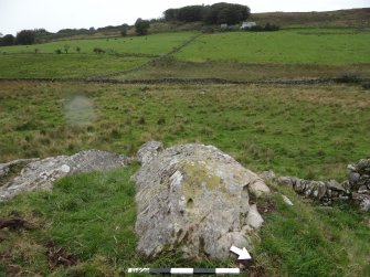 Digital photograph of rock art panel context, Scotland's Rock Art Project, Cairnholy 4, Dumfries and Galloway