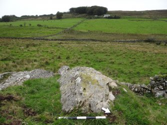 Digital photograph of rock art panel context, Scotland's Rock Art Project, Cairnholy 4, Dumfries and Galloway