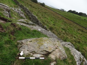 Digital photograph of rock art panel context, Scotland's Rock Art Project, Cairnholy 4, Dumfries and Galloway