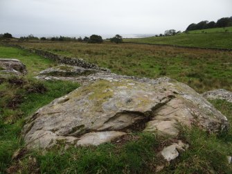 Digital photograph of rock art panel context, Scotland's Rock Art Project, Cairnholy 4, Dumfries and Galloway