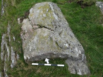 Digital photograph of rock art panel context, Scotland's Rock Art Project, Cairnholy 4, Dumfries and Galloway