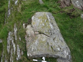 Digital photograph of rock art panel context, Scotland's Rock Art Project, Cairnholy 4, Dumfries and Galloway