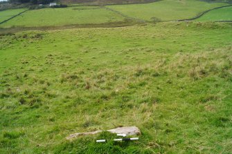 Digital photograph of rock art panel context, Scotland's Rock Art Project, Cairnholy 8, Dumfries and Galloway