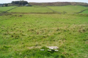 Digital photograph of panel to west, from Scotland’s Rock Art Project, Cairnholy 8, Dumfries and Galloway