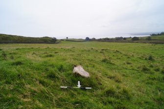 Digital photograph of panel to south, from Scotland’s Rock Art Project, Cairnholy 8, Dumfries and Galloway