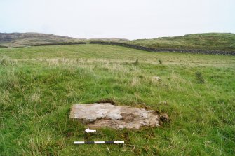 Digital photograph of panel to east, from Scotland’s Rock Art Project, Cairnholy 8, Dumfries and Galloway