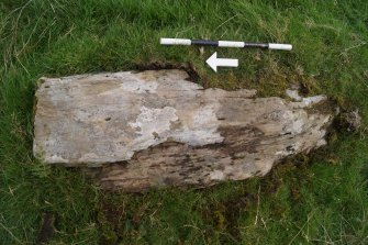 Digital photograph of perpendicular to carved surface(s), from Scotland’s Rock Art Project, Cairnholy 8, Dumfries and Galloway