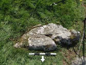 Digital photograph of rock art panel context, Scotland's Rock Art Project, Drumtroddan 4, Dumfries and Galloway