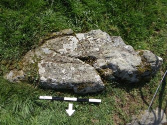 Digital photograph of rock art panel context, Scotland's Rock Art Project, Drumtroddan 4, Dumfries and Galloway