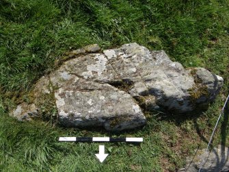 Digital photograph of perpendicular to carved surface(s), from Scotland’s Rock Art Project, Drumtroddan 4, Dumfries and Galloway