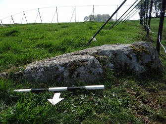 Digital photograph of panel to south, from Scotland’s Rock Art Project, Drumtroddan 4, Dumfries and Galloway