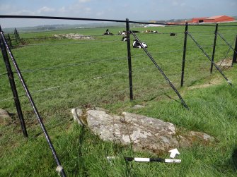 Digital photograph of rock art panel context, Scotland's Rock Art Project, Drumtroddan 4, Dumfries and Galloway