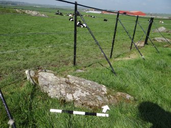 Digital photograph of rock art panel context, Scotland's Rock Art Project, Drumtroddan 4, Dumfries and Galloway