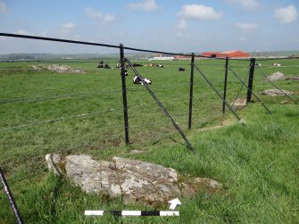 Digital photograph of panel to north, from Scotland’s Rock Art Project, Drumtroddan 4, Dumfries and Galloway