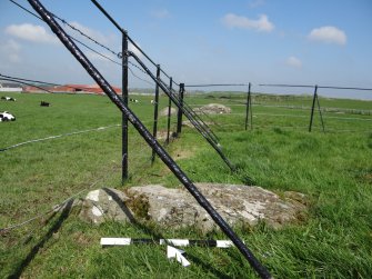 Digital photograph of panel to north-east, from Scotland’s Rock Art Project, Drumtroddan 4, Dumfries and Galloway